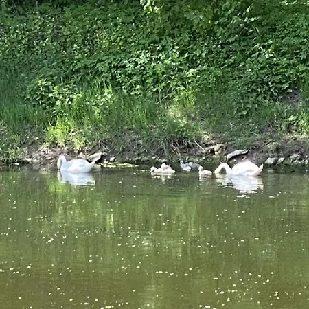 Aan De Oever De Werra Tatil Evi *