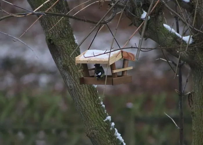 Tatil Evi Aan De Oever De Werra *